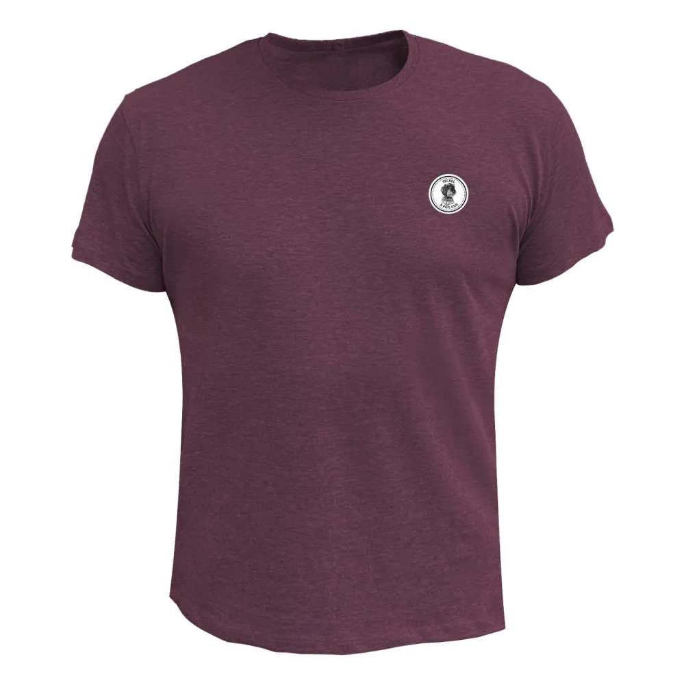 Tee shirt Homme – Ecusson Teckel à poil dur